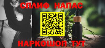 прущие грибы Комсомольск-на-Амуре