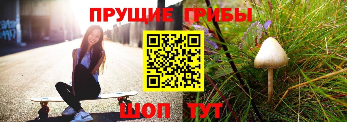 Псилоцибиновые грибы Magic Shrooms Конаково