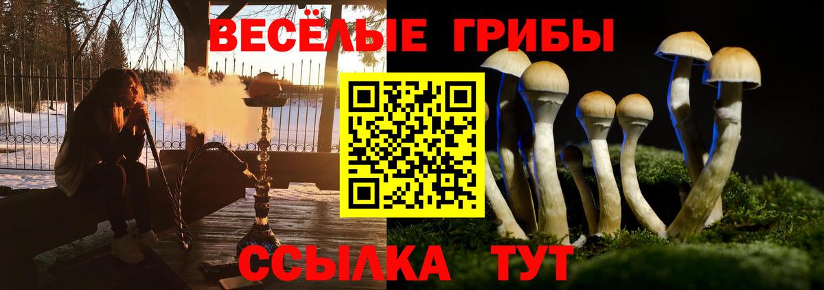 Псилоцибиновые грибы Cubensis  Вход с VPN  Конаково 